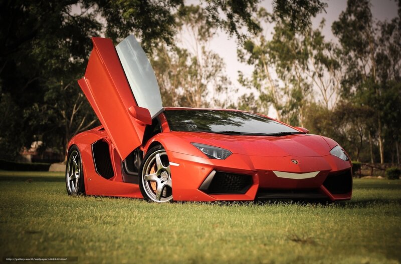 Red Lamborghini on grass