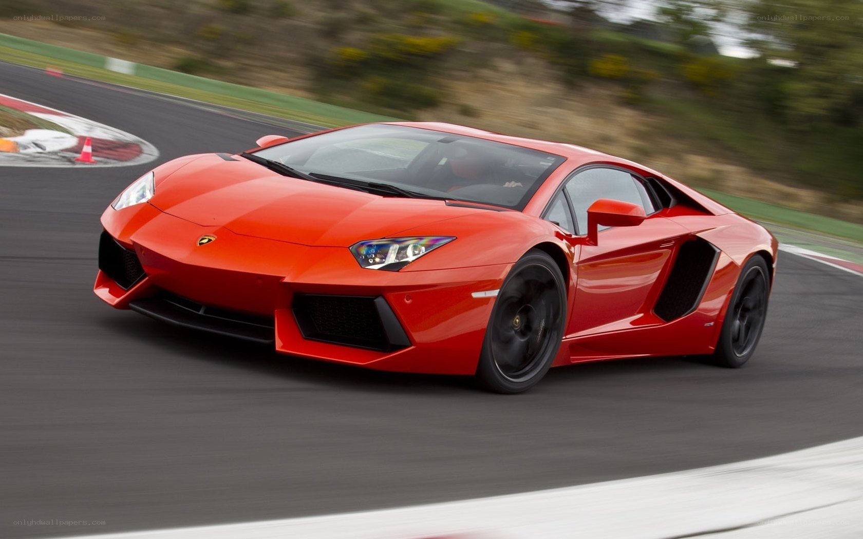 Red Lamborghini on racetrack