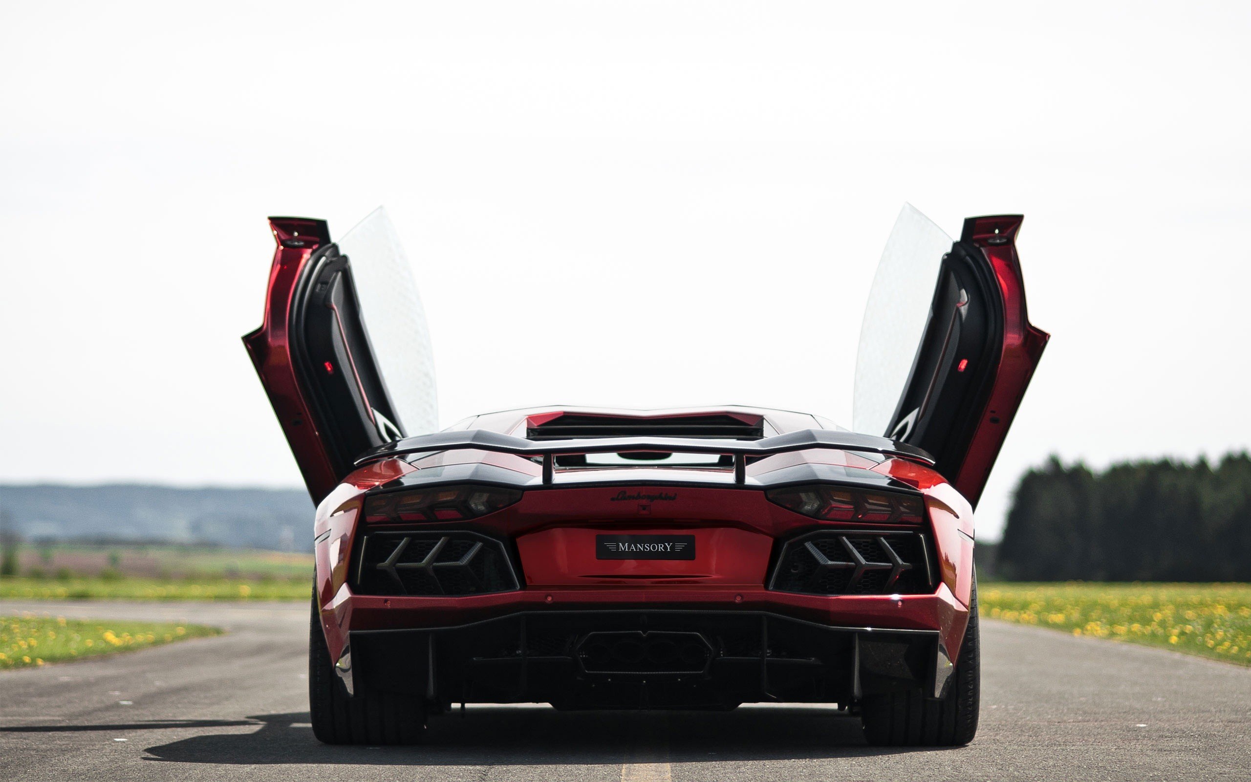 Red Lamborghini with doors open