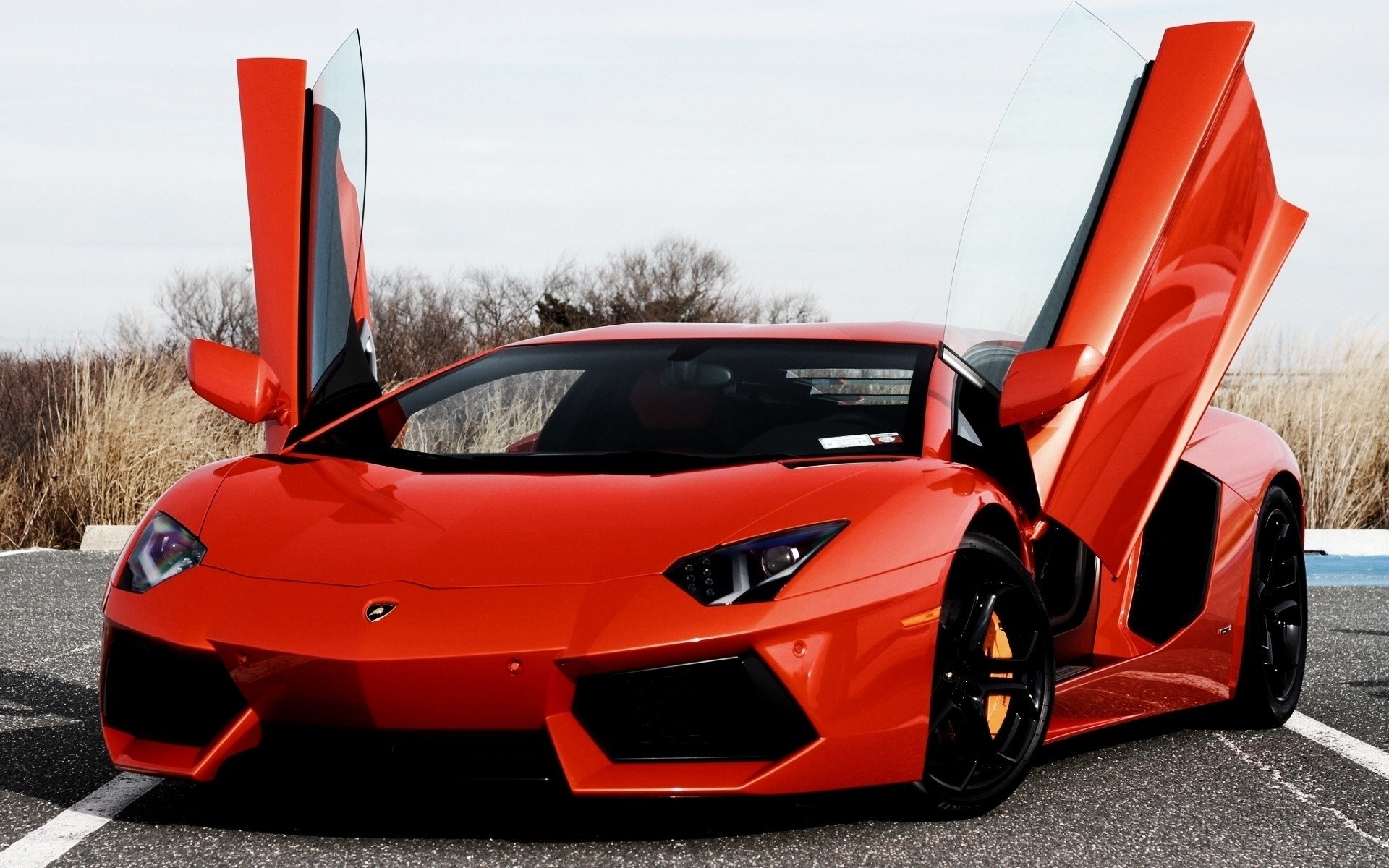 Red Lamborghini with doors open