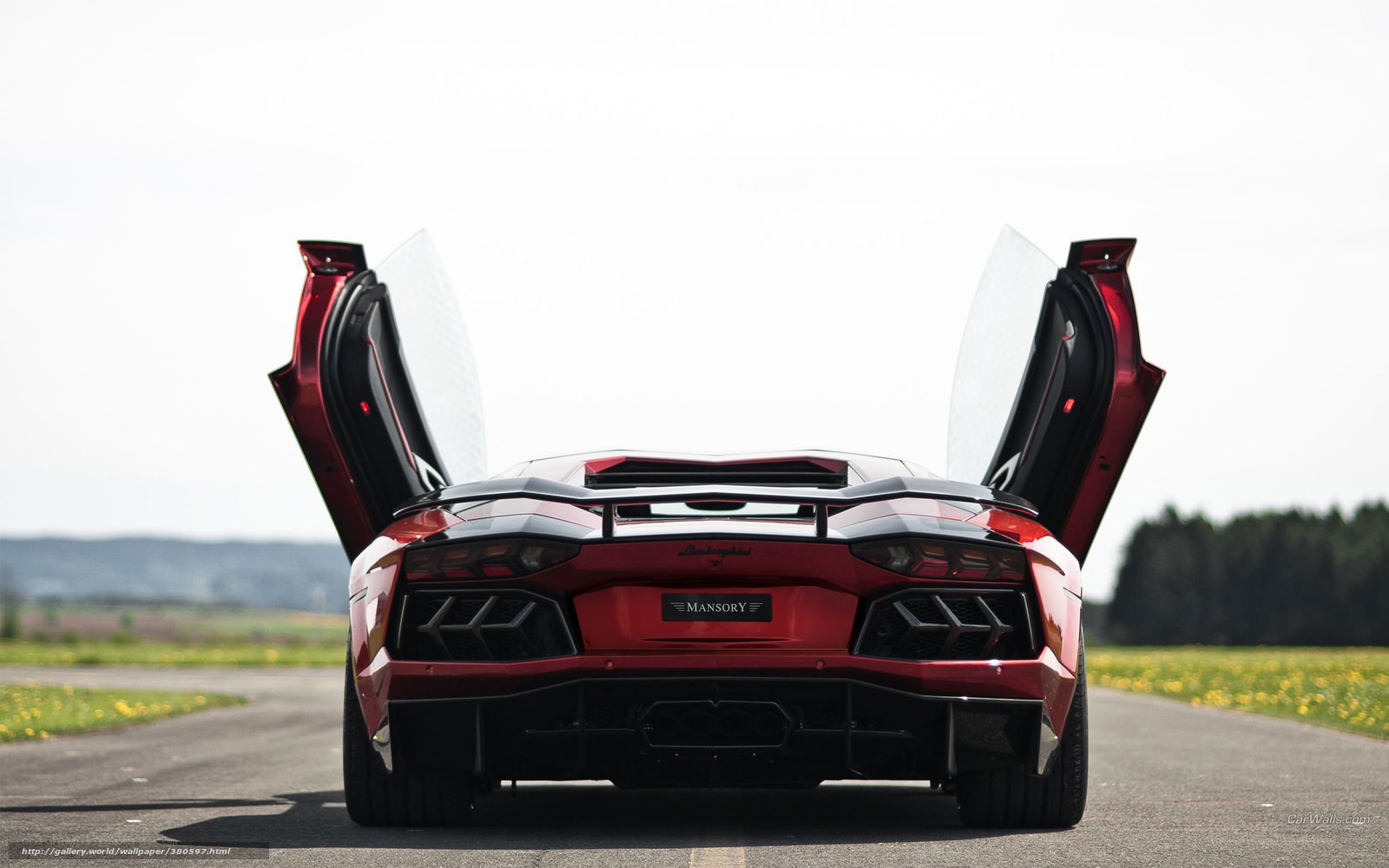 Red Lamborghini with doors open