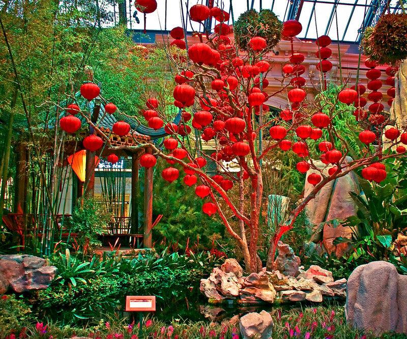 Red lantern garden display
