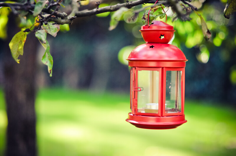 Red Lantern Hanging from Tree