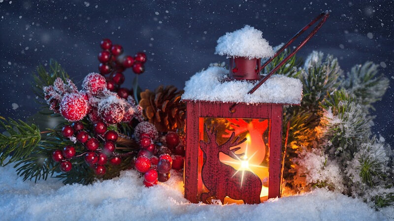 Red Lantern in Snow — Festive, Night, Photograph, Berries, Pinecones