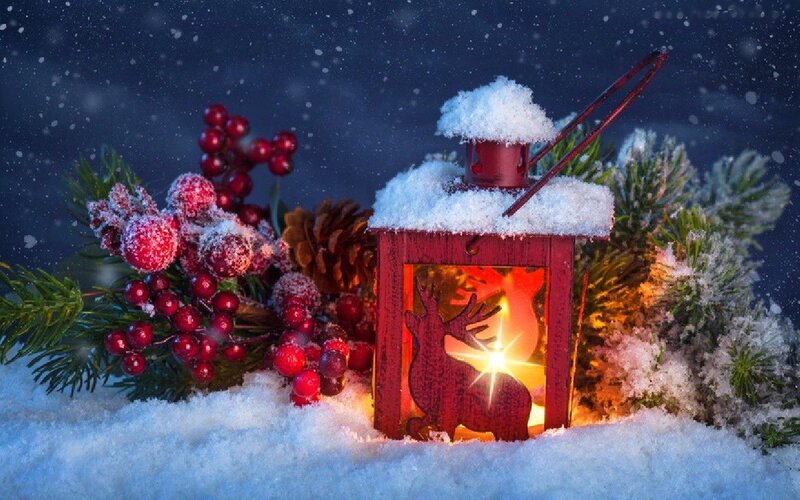Red Lantern in Snow — Festive, Winter, Photograph, Berries