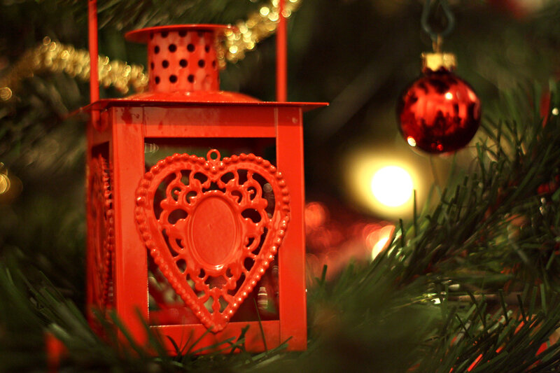 Red Lantern on Tree