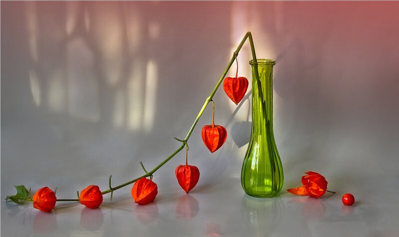 Red Lantern Plants in Vase — Green