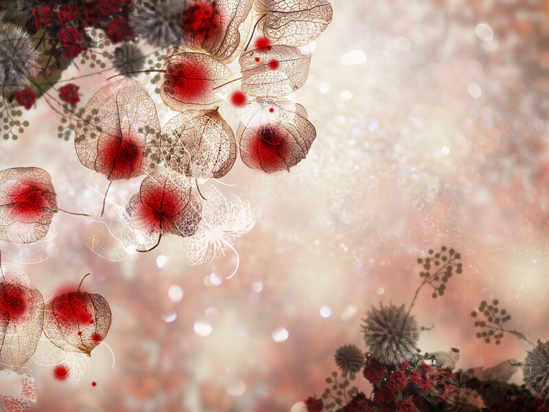 Red lantern plants with bokeh