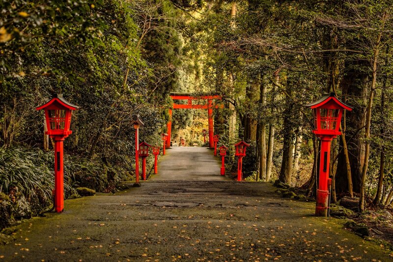 Red Lanterns and Torii Gate