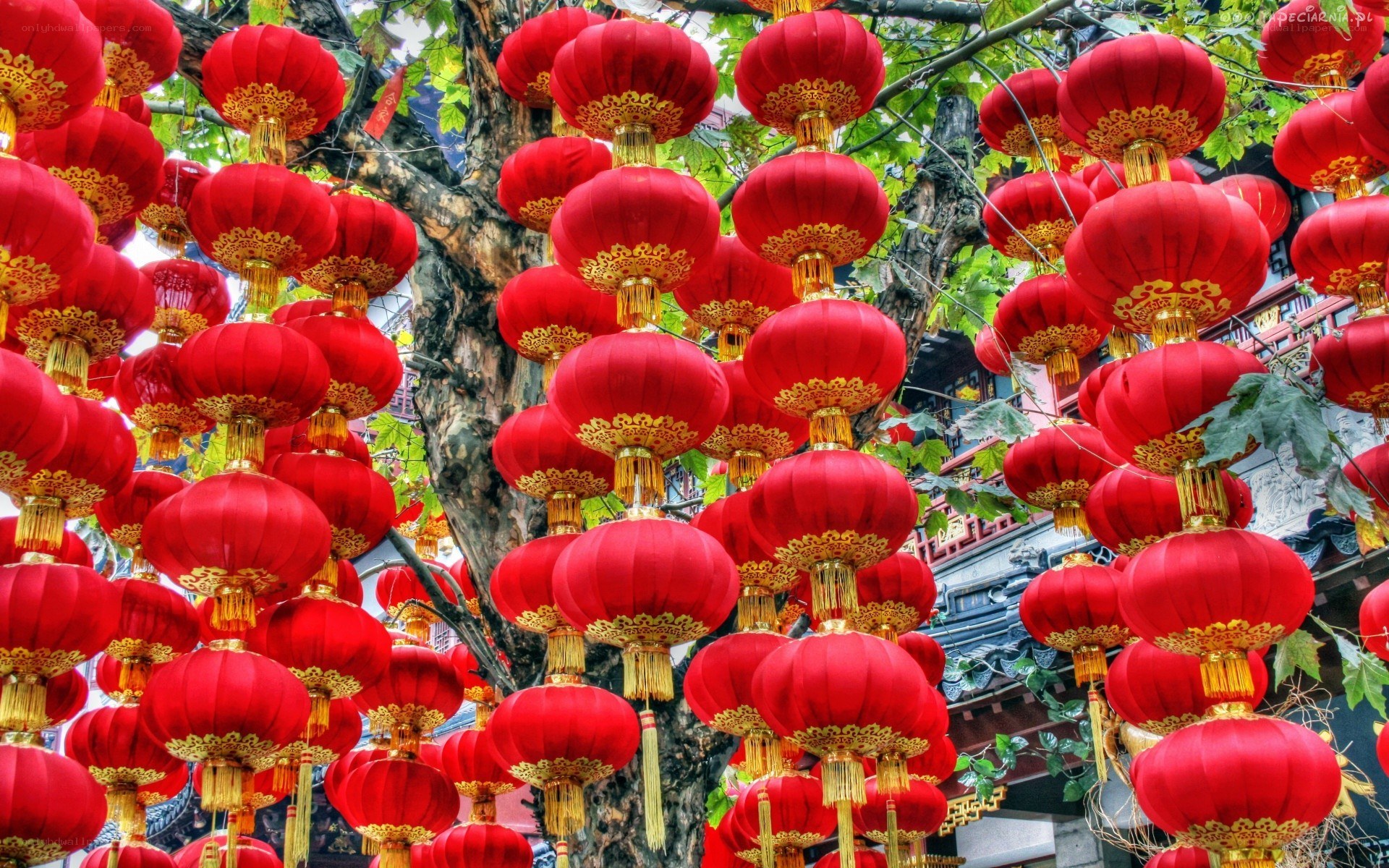 Red lanterns at a festival