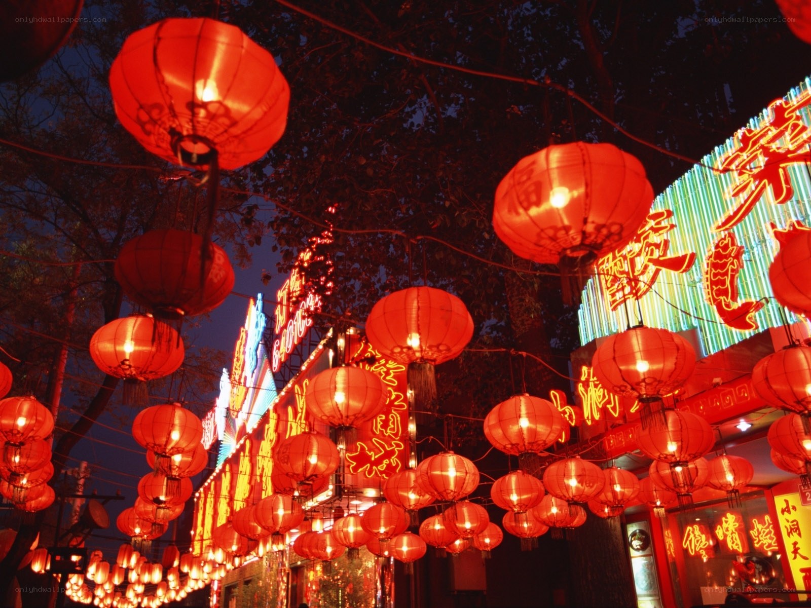 Red lanterns at night market