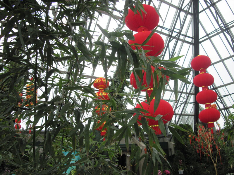 Red Lanterns in Greenhouse