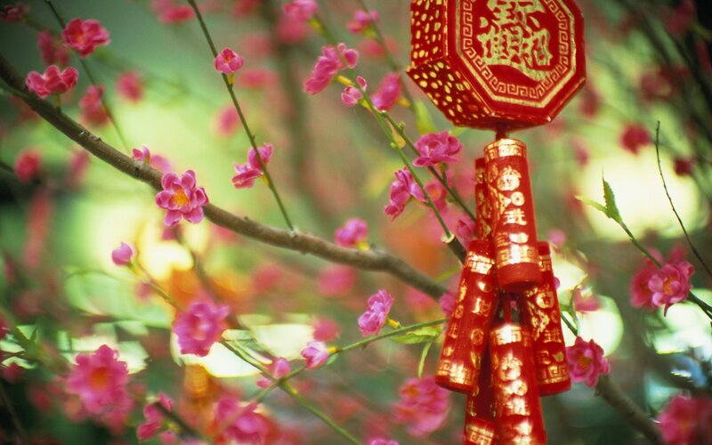 Red lanterns on blooming branches
