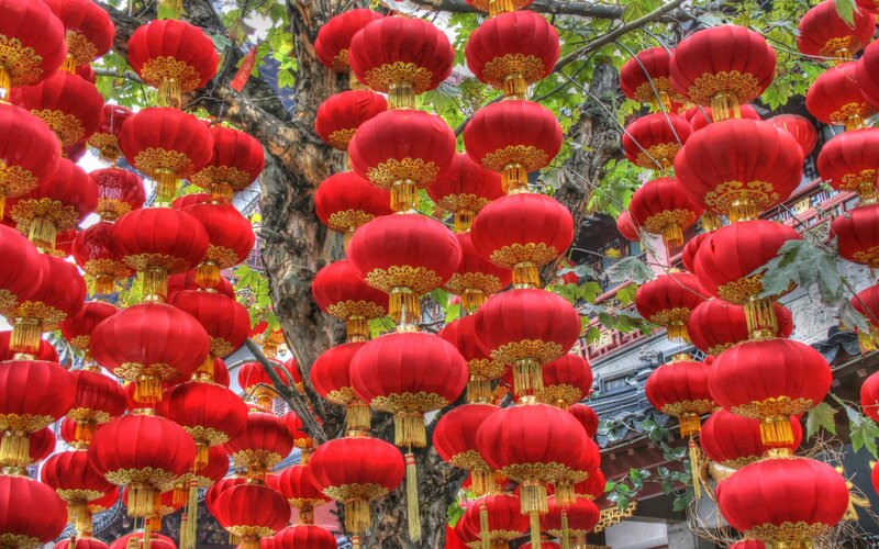 Red Lanterns on Tree — Festive, Afternoon
