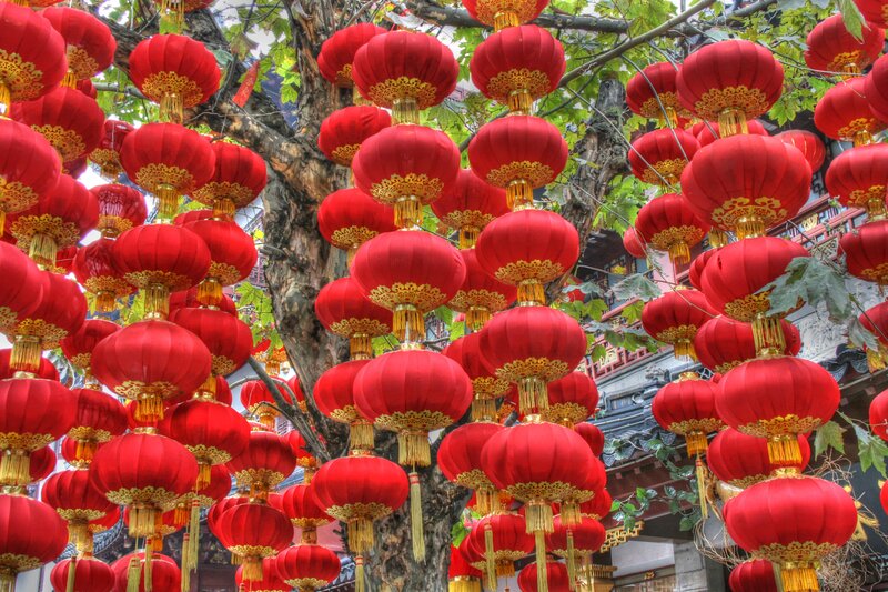 Red Lanterns on Tree — Festive