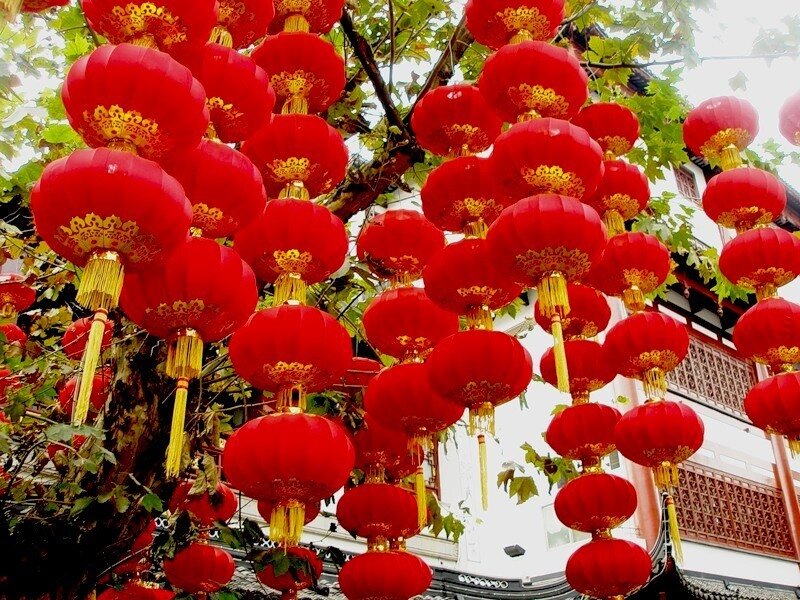 Red Lanterns on Tree