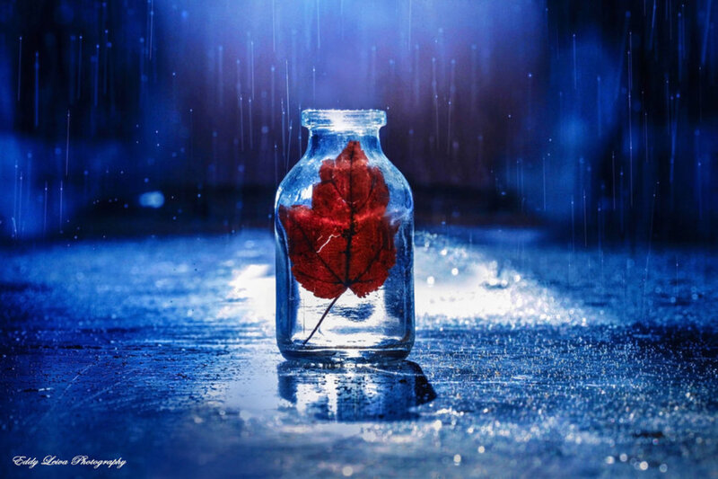 Red Leaf in Glass Bottle — Blue