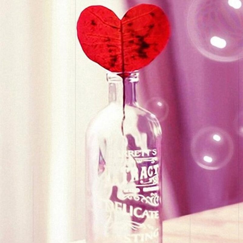 Red Leaf in Glass Bottle — Romantic