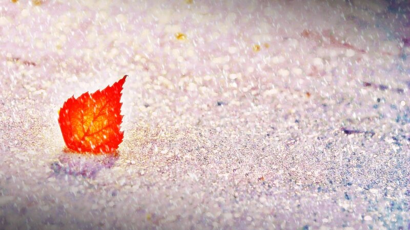 Red Leaf in Snow — Serene