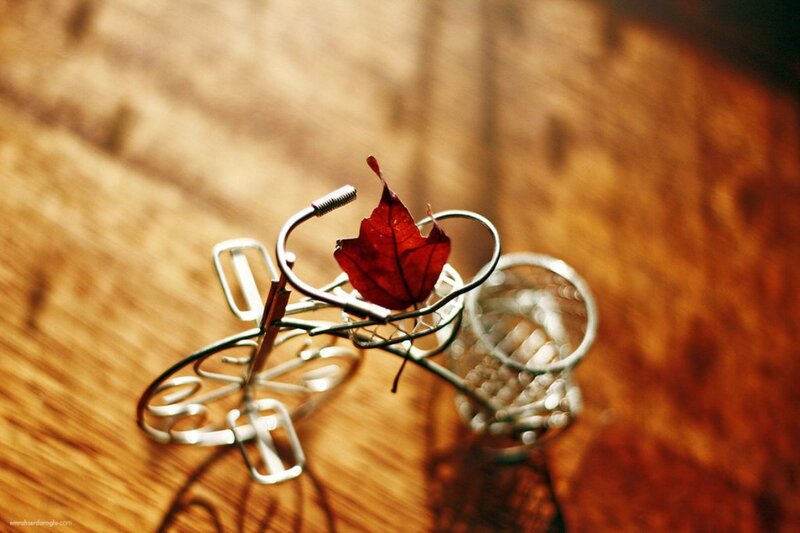 Red Leaf on Bicycle