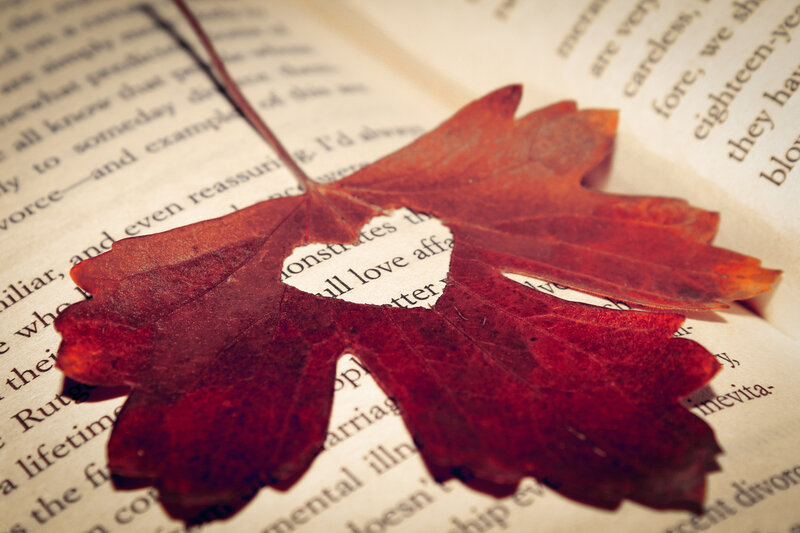 Red Leaf on Book Page