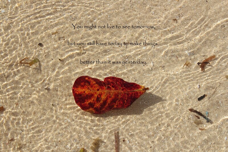 Red Leaf on Sand