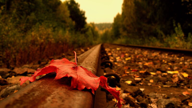 Red Leaf on Train Track — Serene, Autumn, Photograph