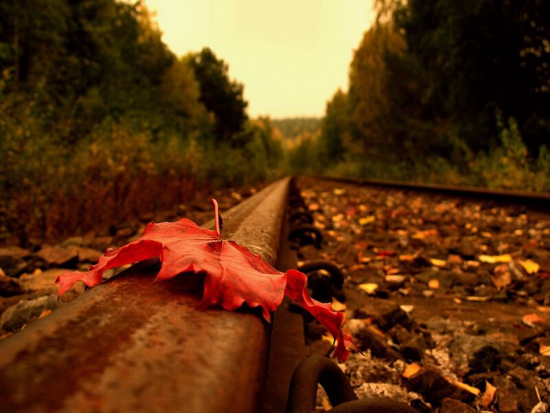 Red Leaf on Train Track — Serene, Autumn, Photograph, Train Tracks