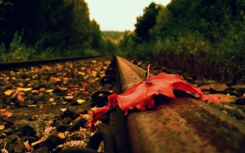 Red Leaf on Train Track — Serene, Autumn, Photograph, Train Tracks, Trees