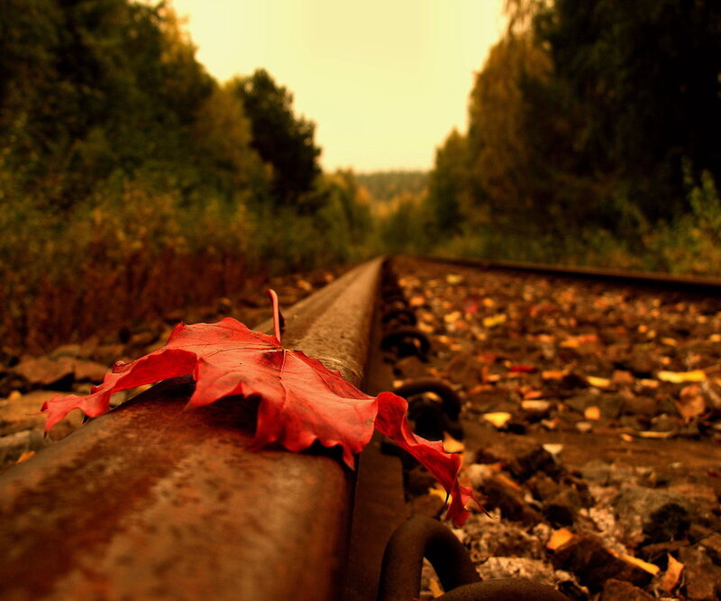 Red Leaf on Train Track — Serene, Autumn