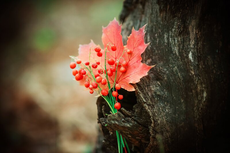 Red Leaf with Berries