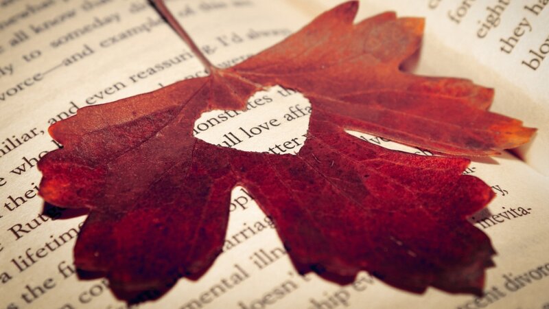 Red Leaf with Heart Cutout — Calm