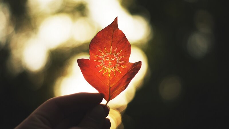 Red Leaf with Sun Design