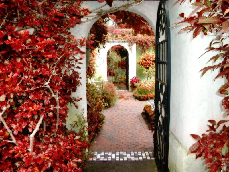Red-leafed Archway Garden