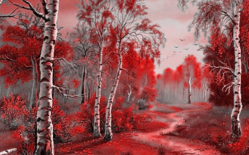 Red-leafed Birch Forest
