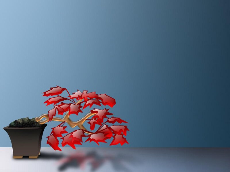 Red-leafed Bonsai Tree — Blue