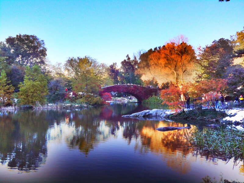 Red-leafed Bridge over Pond
