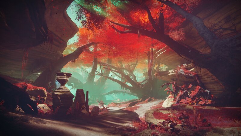 Red-leafed Forest Cave
