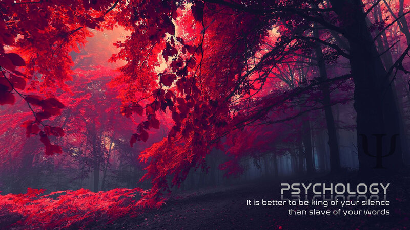 Red-leafed Forest Path — Red, Dramatic, Autumn