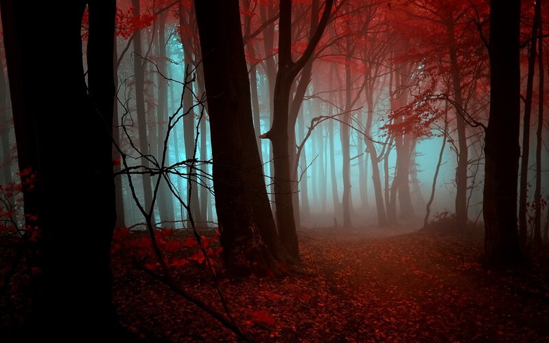 Red-leafed Forest Path — Red, Mysterious