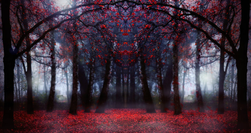 Red-leafed Forest — Red, Mysterious, Autumn