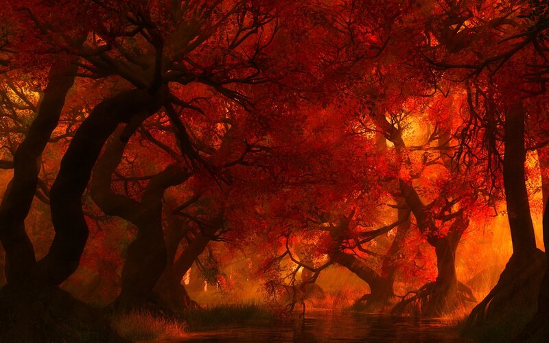 Red-leafed Forest