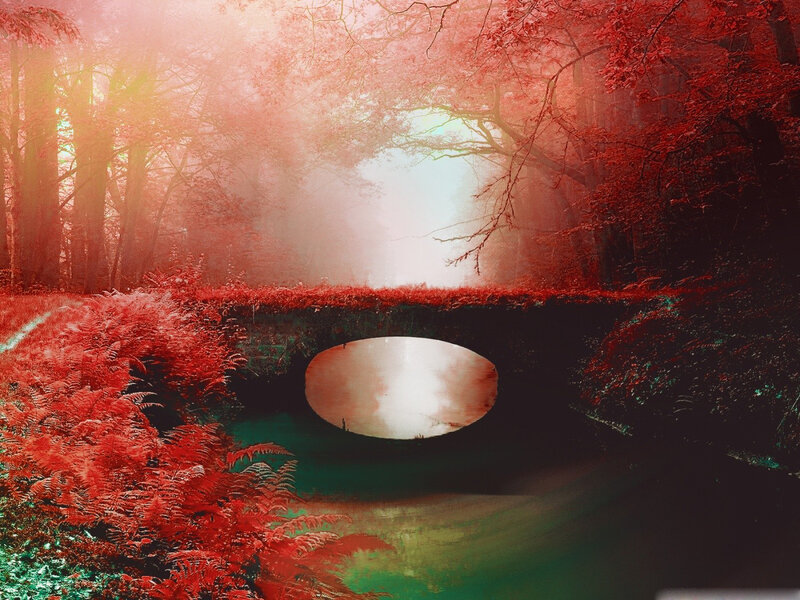 Red-leafed Forest with Bridge