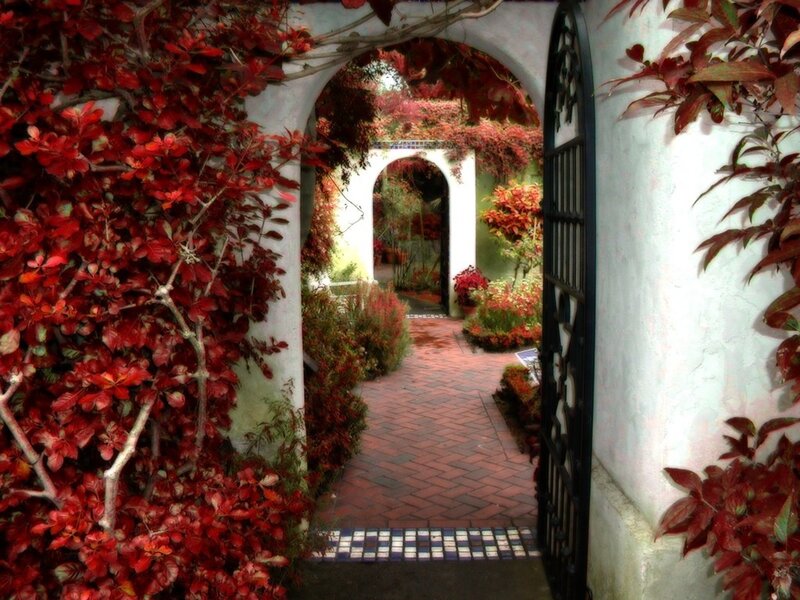 Red-leafed garden archway