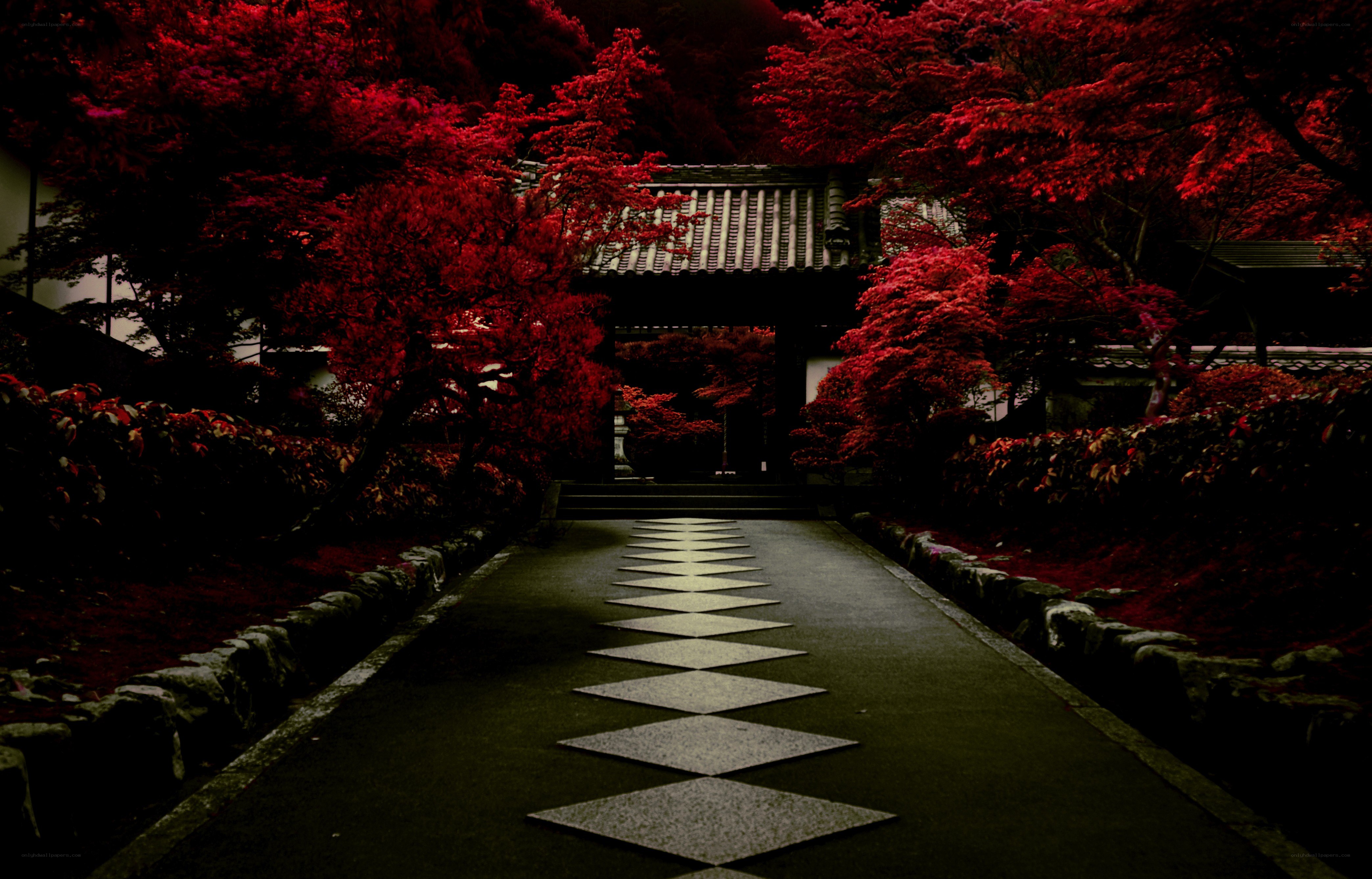 Red-leafed garden path