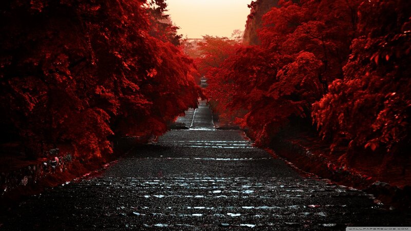 Red-leafed Path — Red, Dramatic