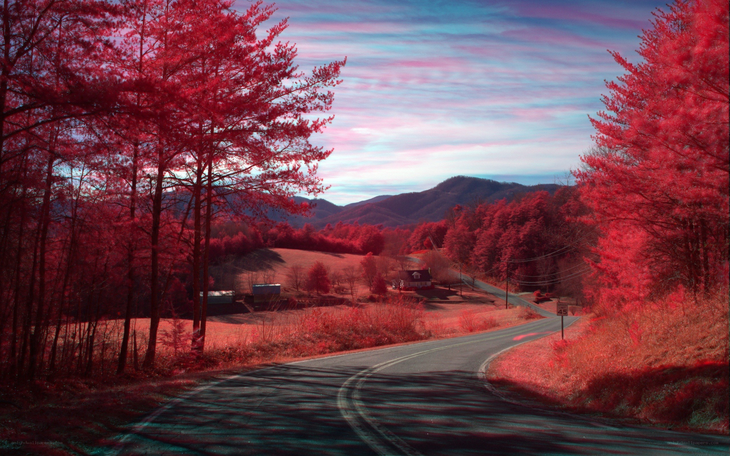 Red-leafed road in mountain valley