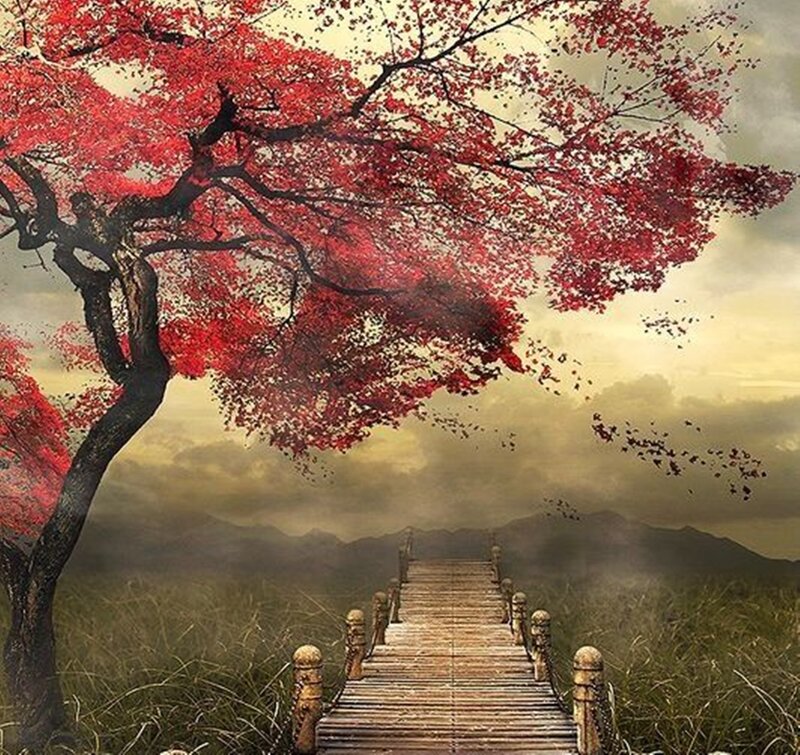Red-leafed Tree and Bridge