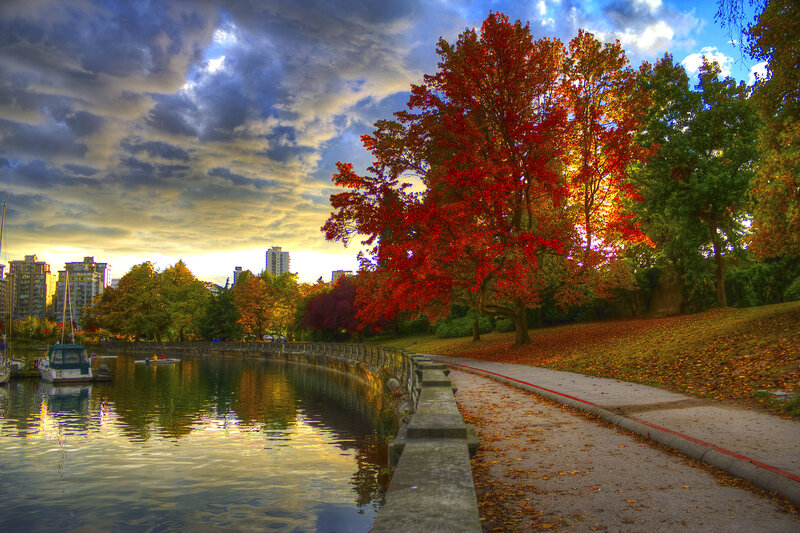 Red-leafed Tree by Canal