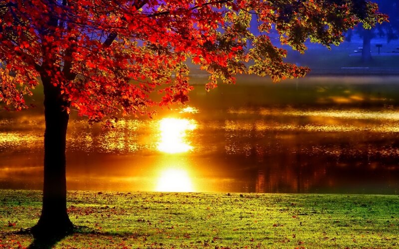 Red-leafed Tree by Lake — Red, Serene, Sunset, Photograph, Sun